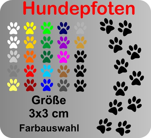 Hundepfoten pfoten hund - 12,