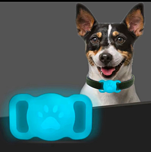 Leuchtendes hundehalsbandclip - leuchtendes,