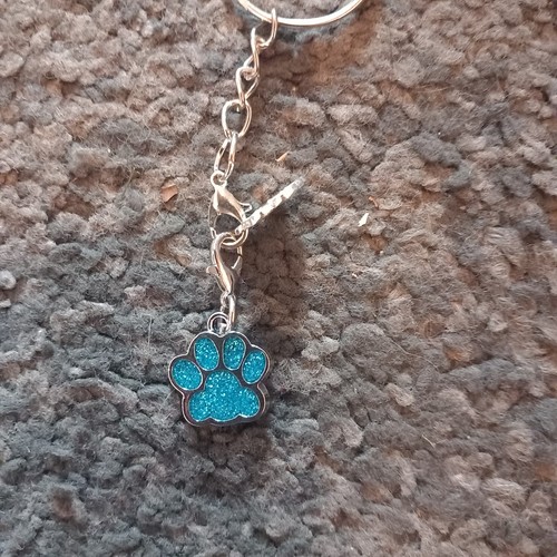 Bunte hunde pfoten - bunte,