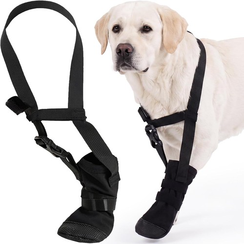Pfotenschutz hund winter - pfotenschutz,