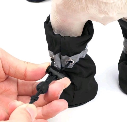 Hunde schuhe pfoten - 🐶,