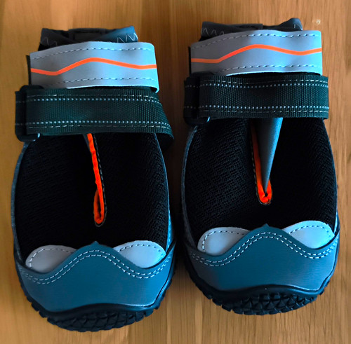 Hundeschuhe pfotenschutz - hundeschuhe,