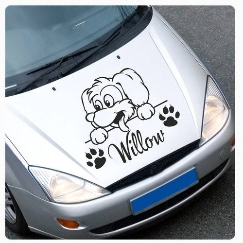 Hund pfoten name wunschname - pfoten,