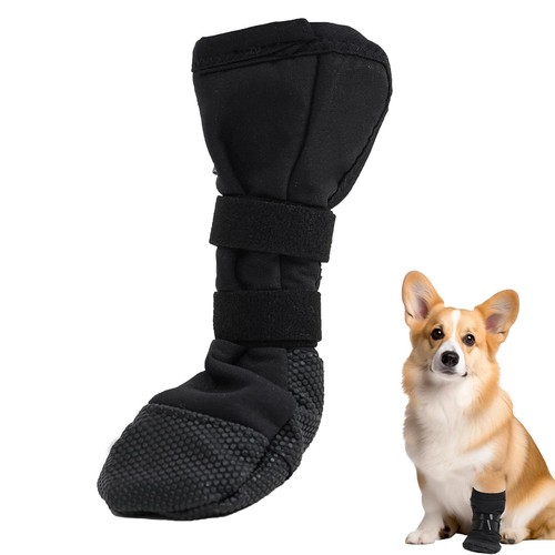 Pfotenschutz hund verletzung - pfotenschutz,