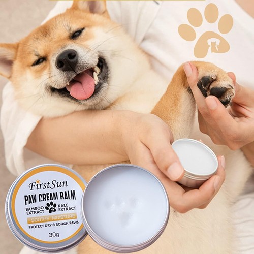Pfotenbalsam hund sheabutter - pfotenbalsam,